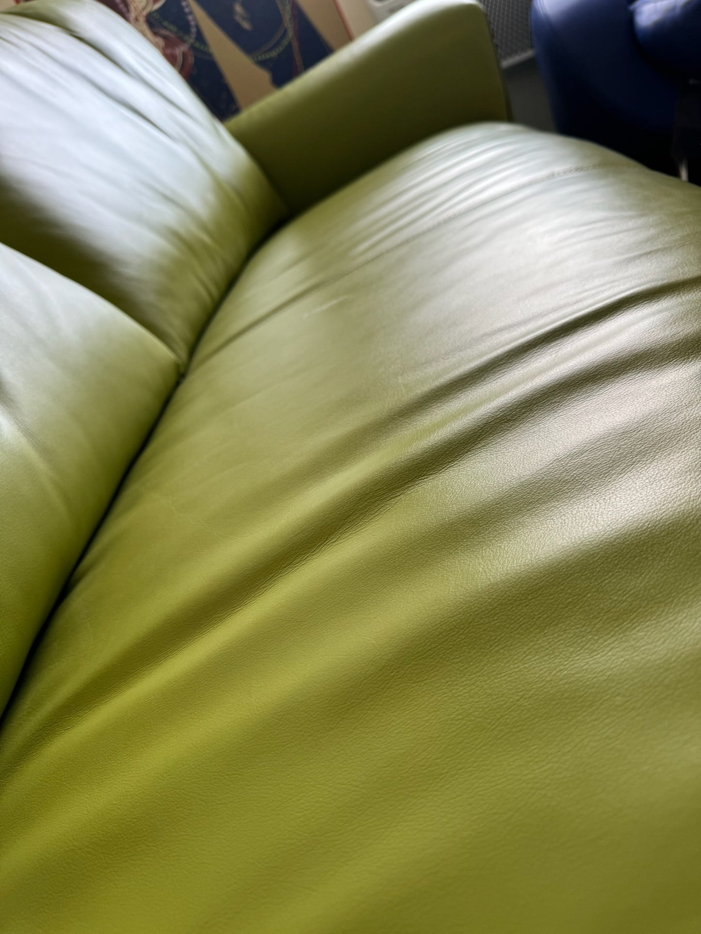 Beautiful Green Leather Couch